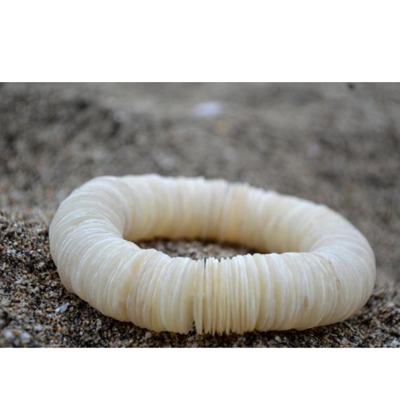 Sea shell bracelet - Picture 5 of 5